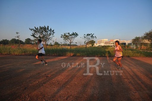 DSC_0275 - Copy (2).JPG